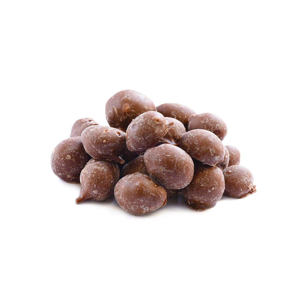 Double Dipped Chocolate Covered Peanuts - 1lbs